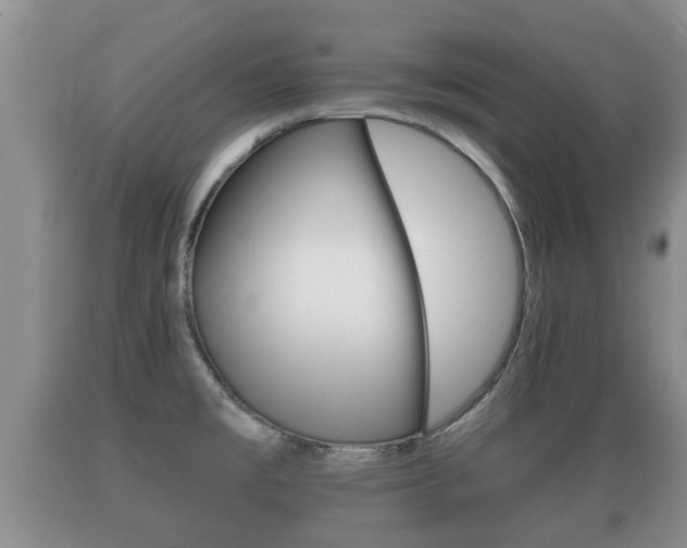 X0000089761477200706210942
