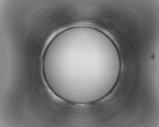 X0000089761478200706210942