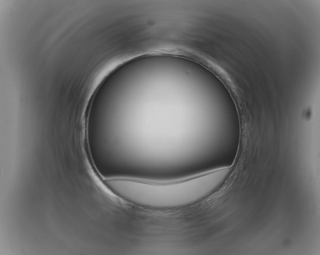 X0000089761479200706210942