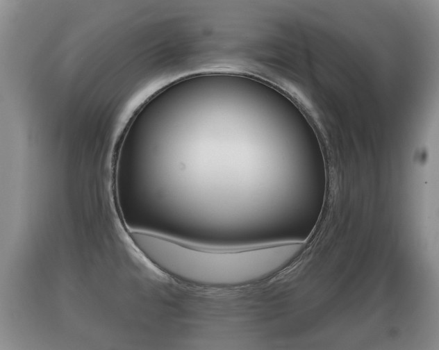 X0000089761480200706210942