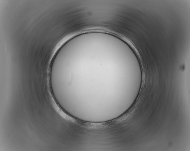 X0000089761482200706210942