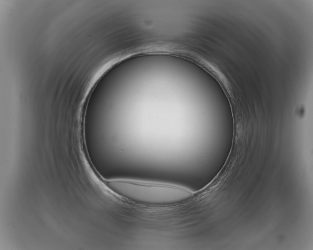 X0000089761483200706210942