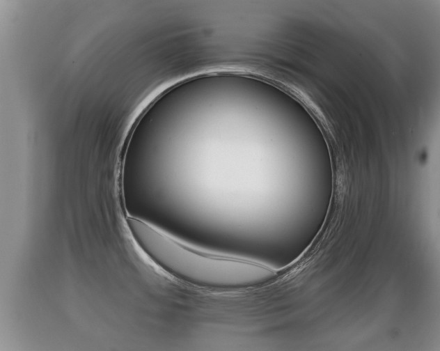 X0000089761484200706210942