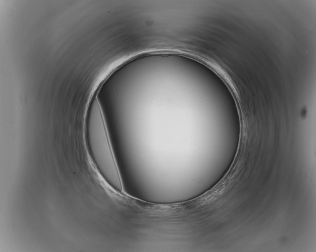 X0000089761485200706210942
