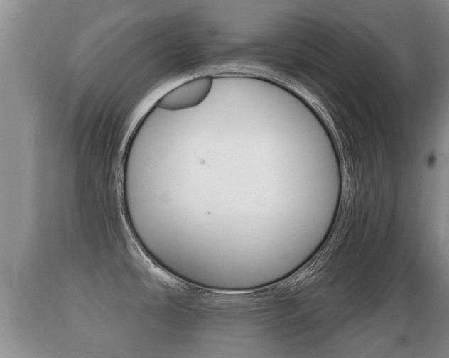 X0000089761486200706210942