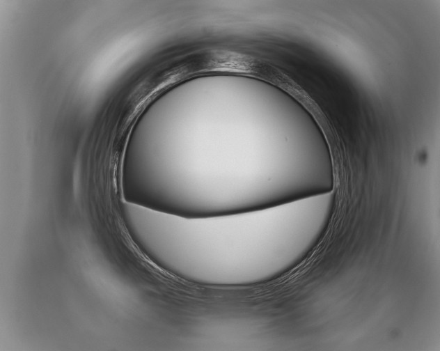X0000089761487200706210942