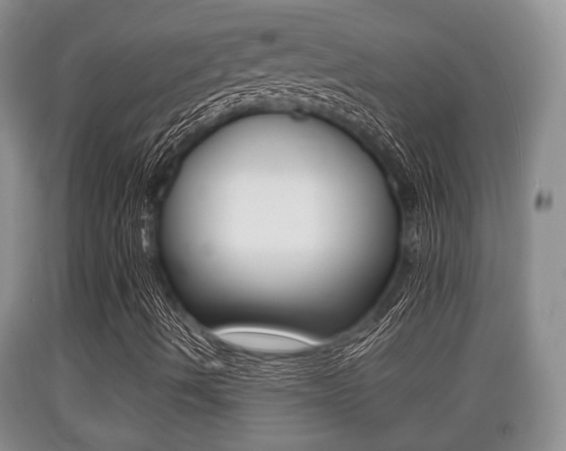 X0000089761490200706210942