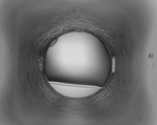 X0000089761491200706210942