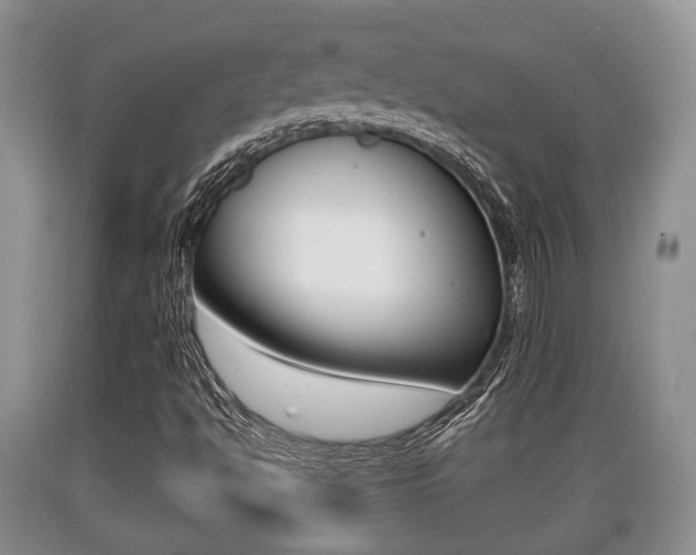 X0000089761494200706210942