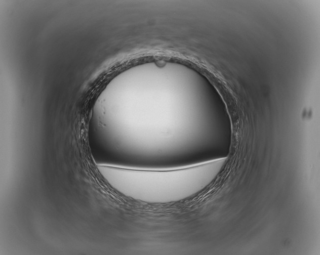 X0000089761495200706210942