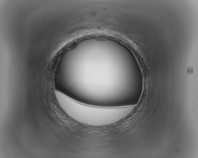 X0000089761496200706210942
