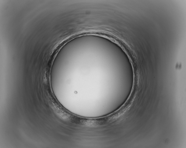 X0000089761497200706210942
