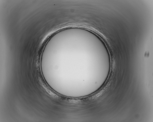X0000089761498200706210942