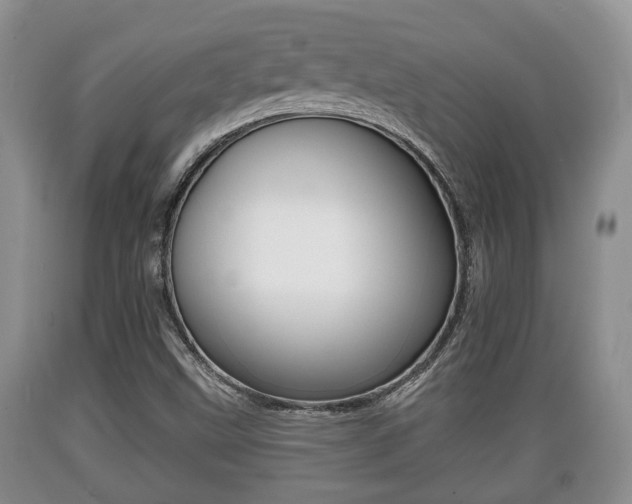 X0000089761499200706210942