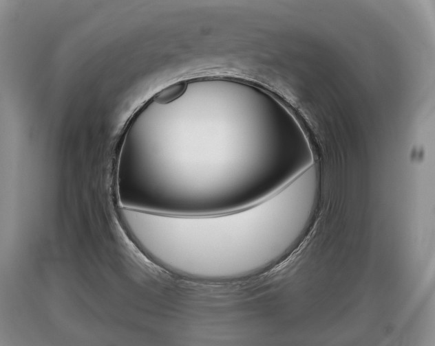 X0000089761500200706210942