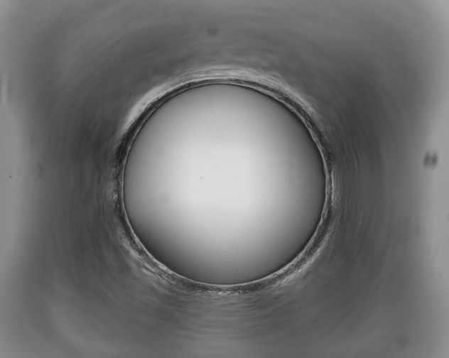 X0000089761501200706210942