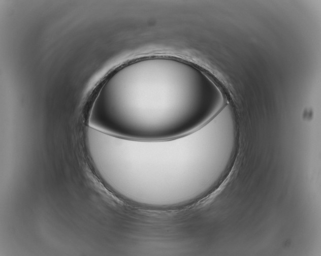 X0000089761502200706210942