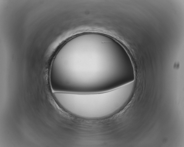 X0000089761503200706210942