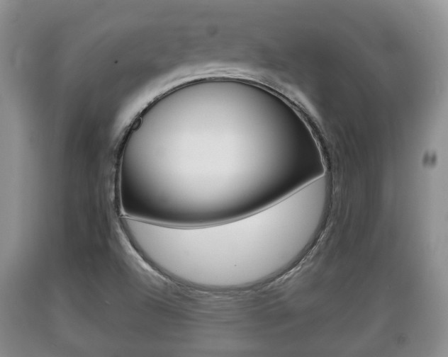 X0000089761504200706210942