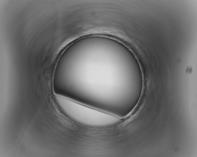 X0000089761505200706210942