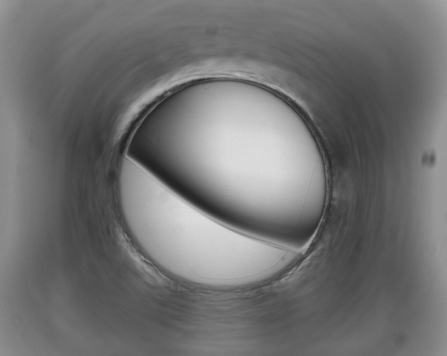 X0000089761507200706210942