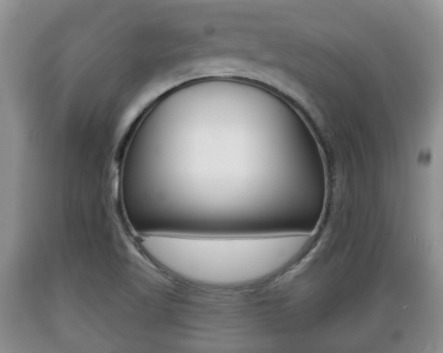 X0000089761509200706210942