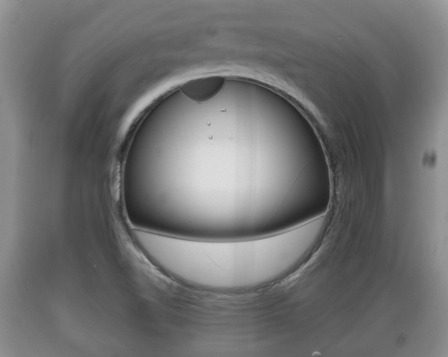 X0000089761510200706210942