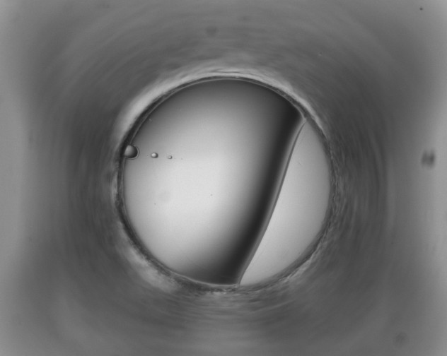 X0000089761511200706210942