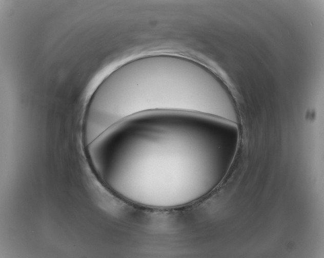 X0000089761512200706210942