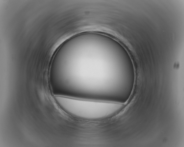 X0000089761513200706210942