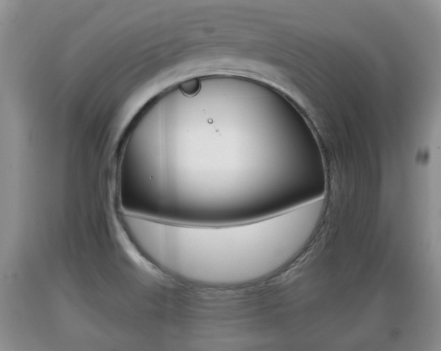 X0000089761515200706210942