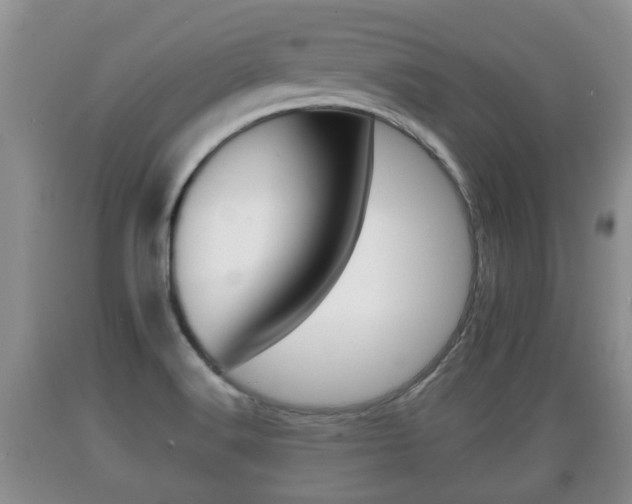 X0000089761516200706210942