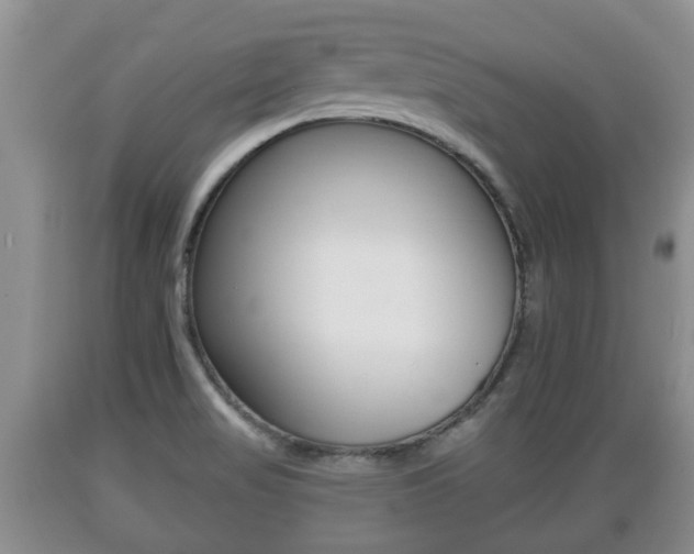 X0000089761517200706210942