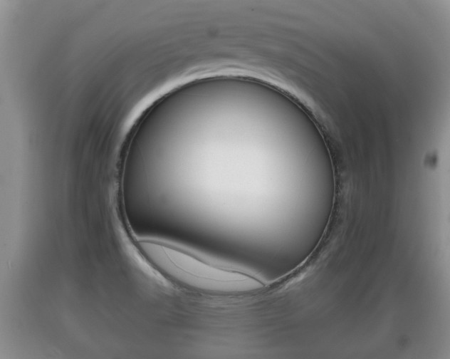 X0000089761518200706210942