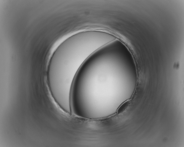 X0000089761520200706210942
