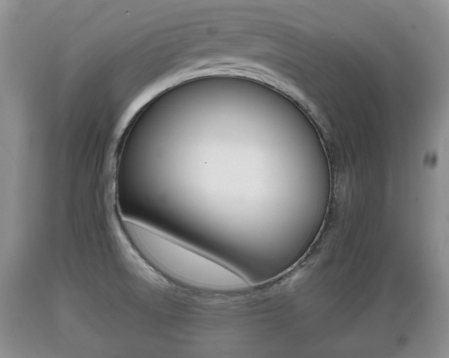 X0000089761522200706210942