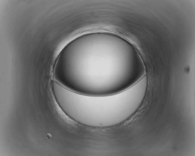 X0000089761524200706210942