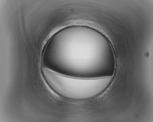 X0000089761525200706210942