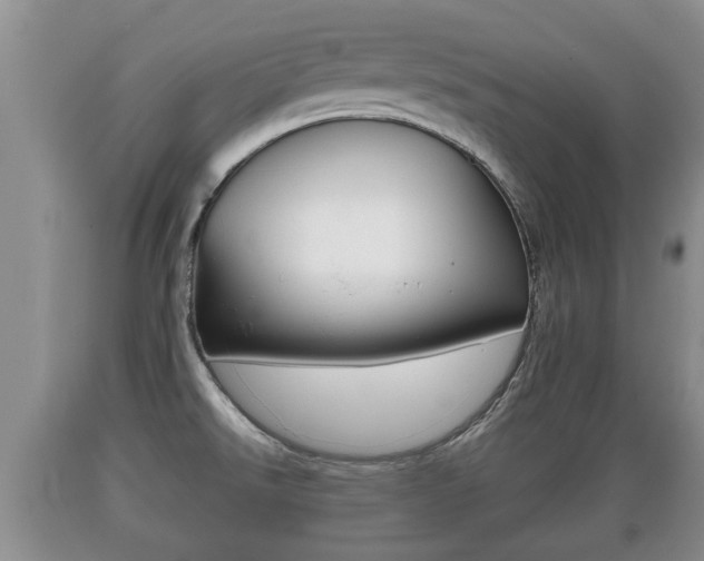 X0000089761526200706210942