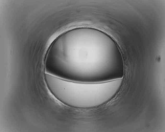 X0000089761527200706210942
