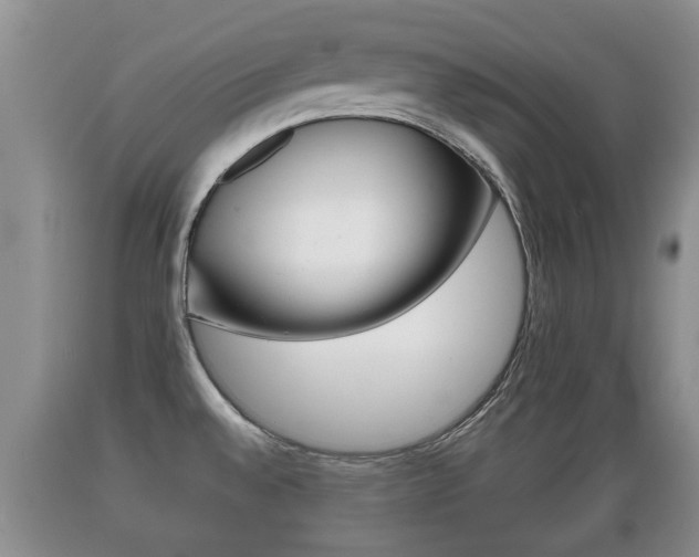 X0000089761528200706210942