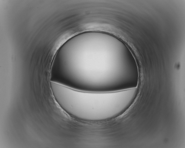 X0000089761529200706210942
