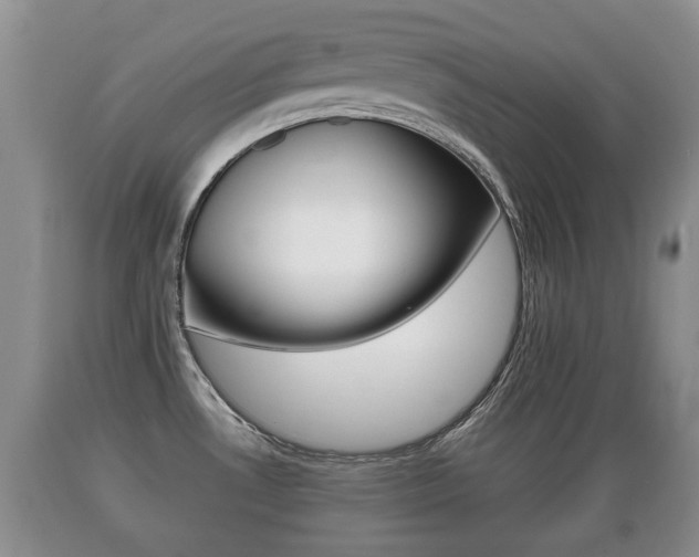 X0000089761530200706210942