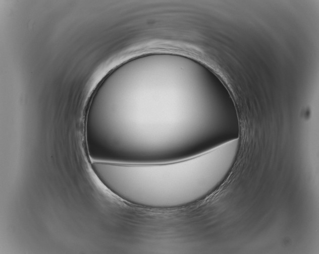 X0000089761531200706210942