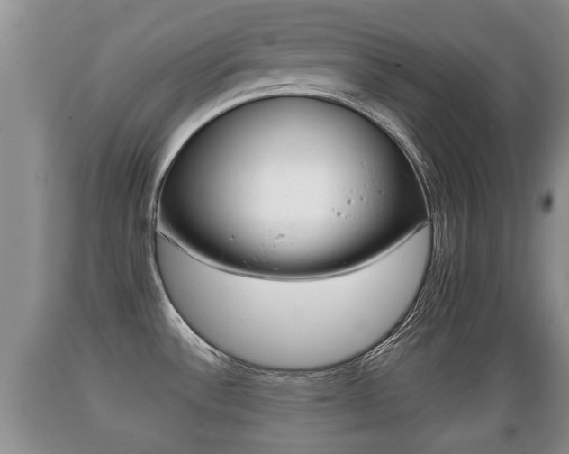 X0000089761532200706210942