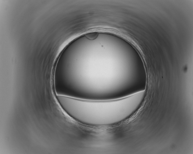 X0000089761533200706210942