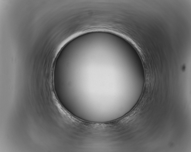 X0000089761534200706210942
