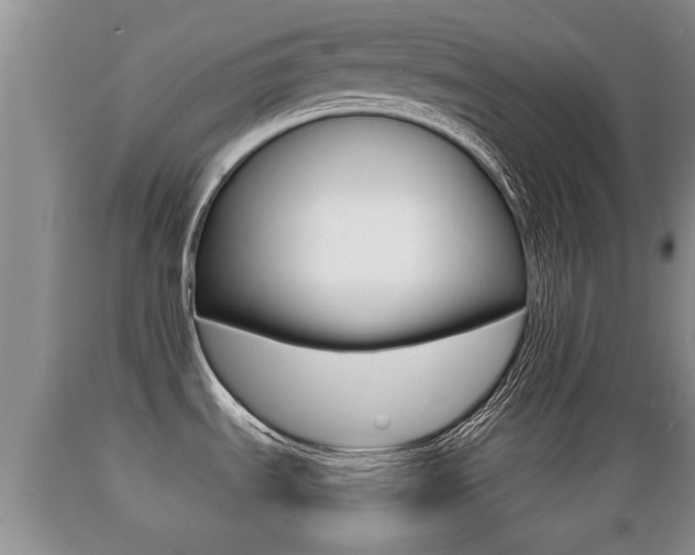 X0000089761535200706210942