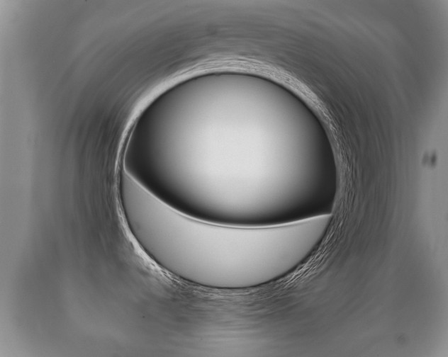 X0000089761536200706210942