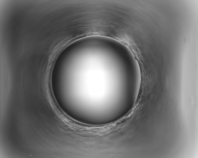 X0000089760001200706211552